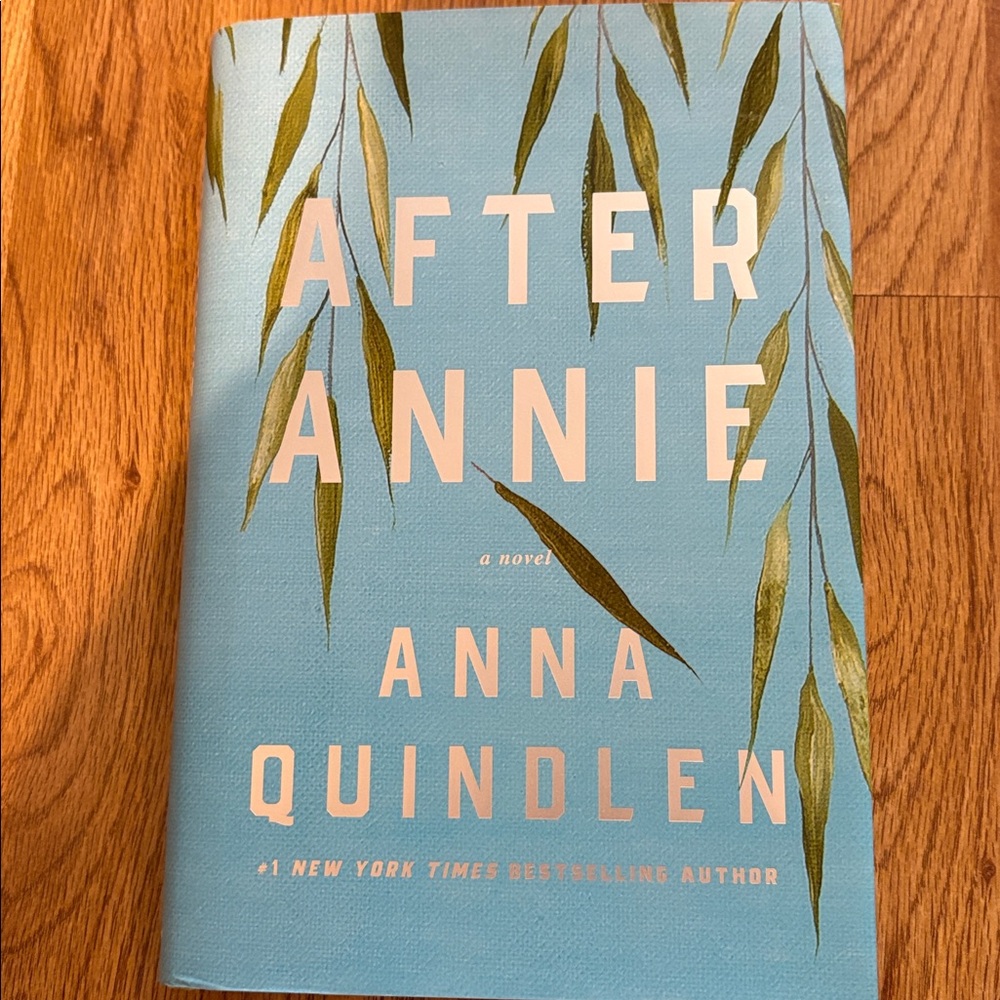 After Annie by Anna Quindlen Hardback Book - Read Once!